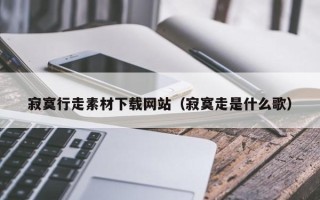 宣汉寂寞行走素材下载网站（寂寞走是什么歌）